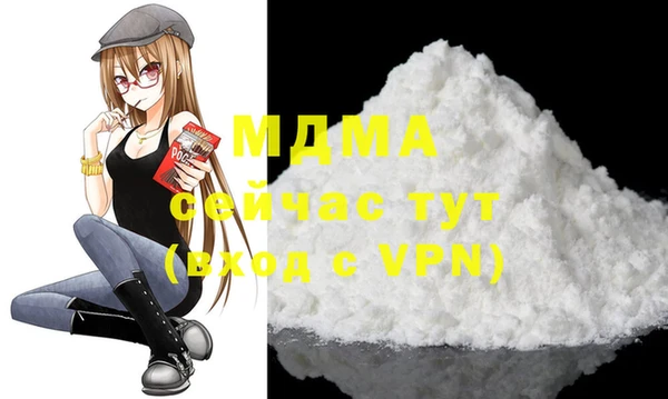 спиды Вяземский