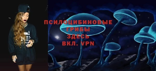 спиды Вяземский