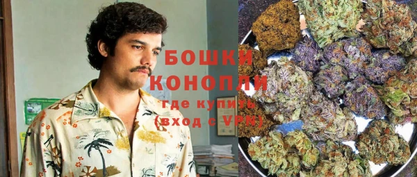 спиды Вяземский