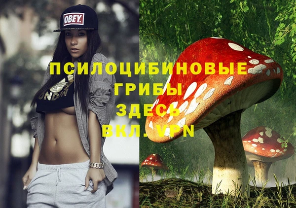 спиды Вяземский