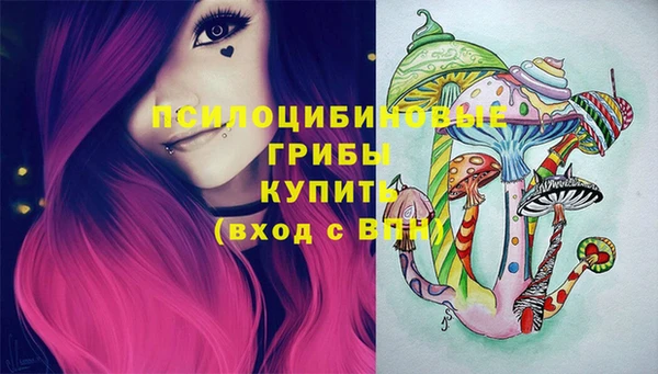 a pvp Вязники
