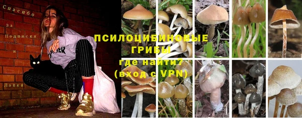 a pvp Вязники