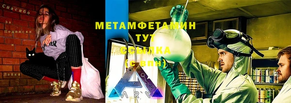 спиды Вяземский