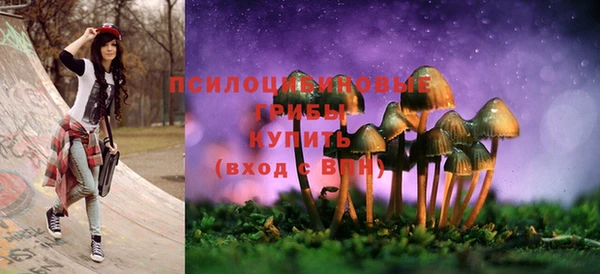 a pvp Вязники