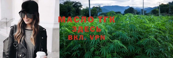 спиды Вяземский