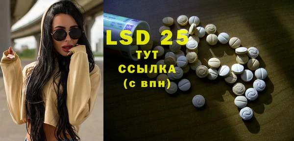 спиды Вяземский