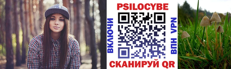 Галлюциногенные грибы MAGIC MUSHROOMS  Вологда 